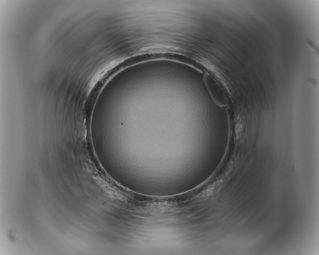 X0000102800973200808181157