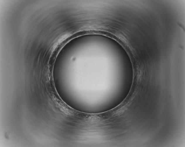 X0000102800974200808181157