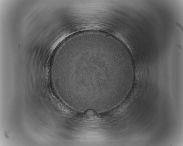 X0000102800975200808181157