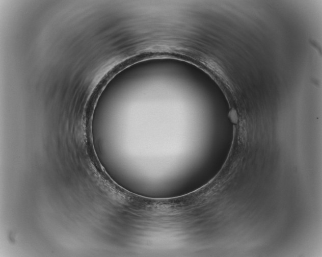 X0000102800976200808181157