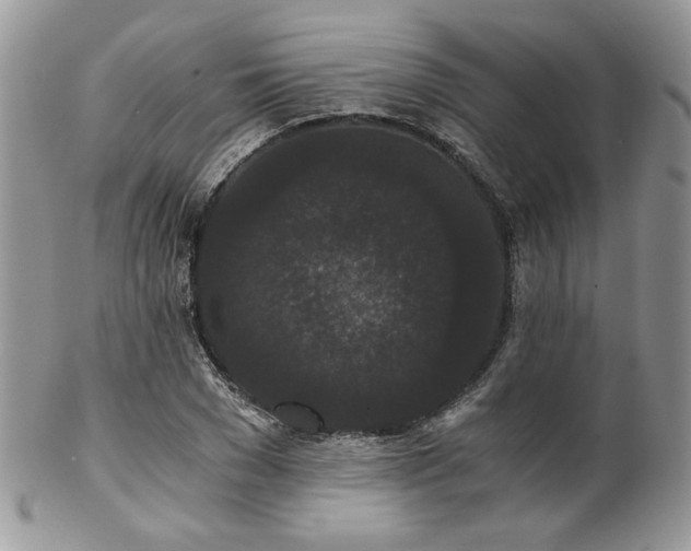 X0000102800977200808181157