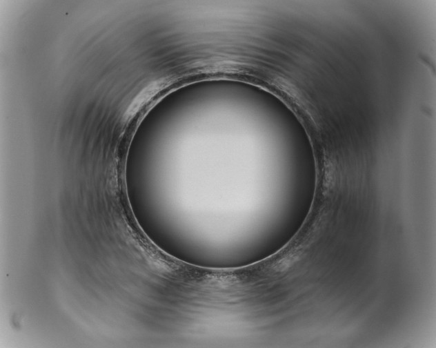 X0000102800978200808181157