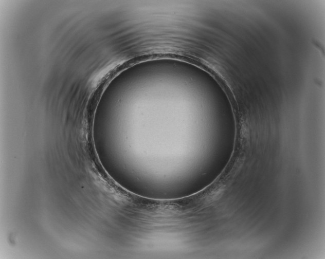 X0000102800979200808181157