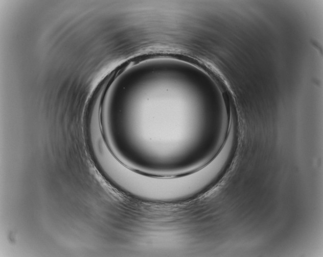X0000102800981200808181157
