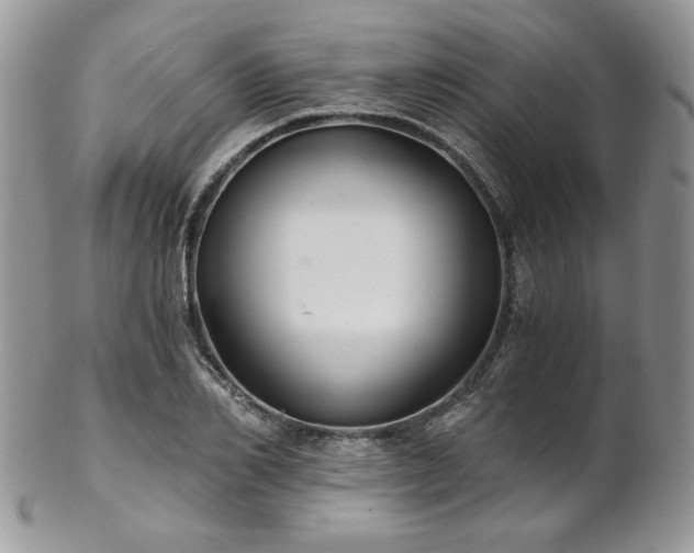 X0000102800982200808181157