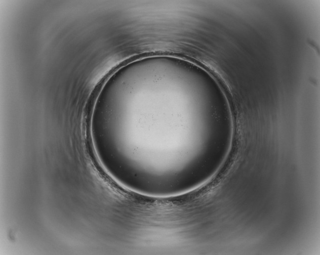 X0000102800983200808181157