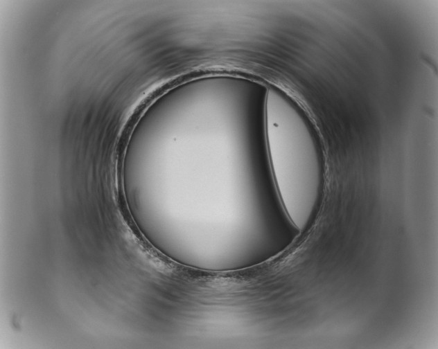 X0000102800984200808181157