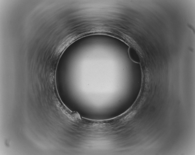 X0000102800985200808181157
