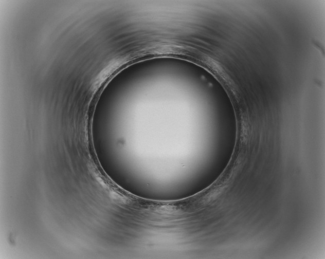 X0000102800986200808181157