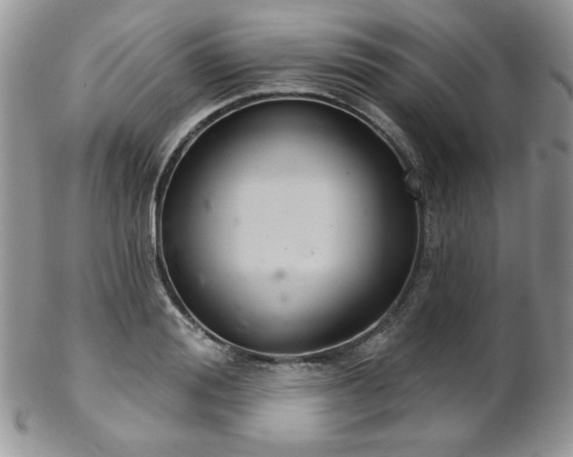 X0000102800988200808181157
