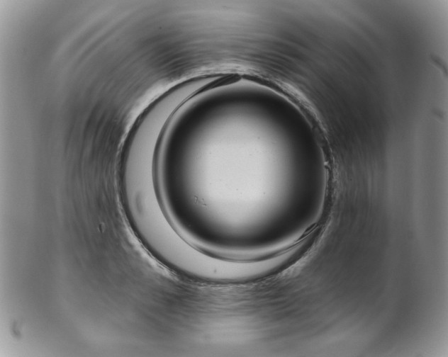 X0000102800989200808181157