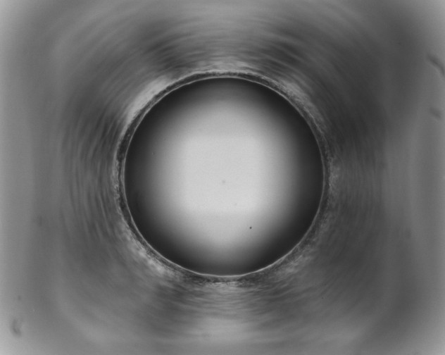 X0000102800990200808181157