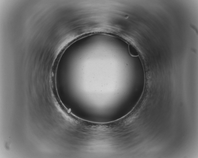 X0000102800991200808181157
