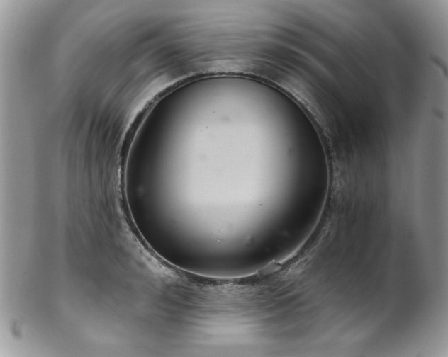 X0000102800992200808181157