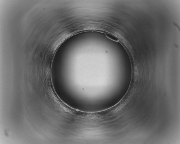 X0000102800993200808181157