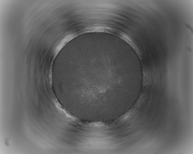 X0000102800994200808181157