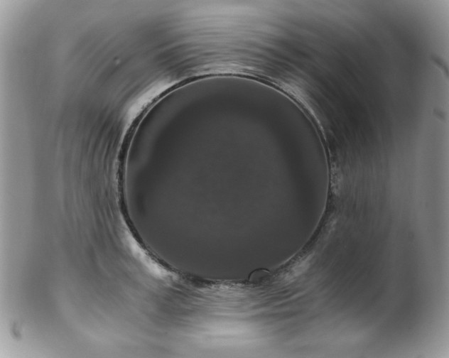 X0000102800995200808181157