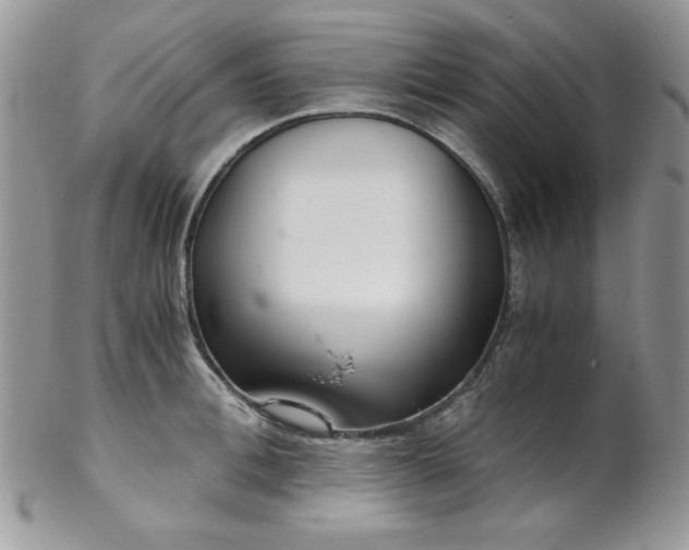 X0000102800996200808181157
