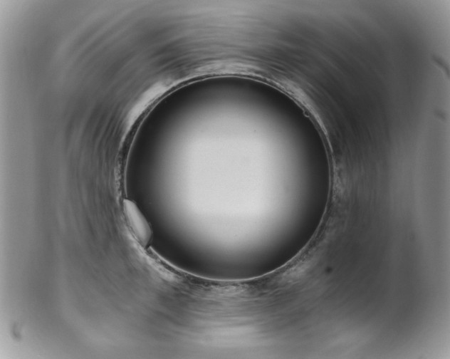 X0000102800997200808181157