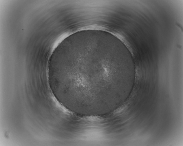 X0000102800998200808181157