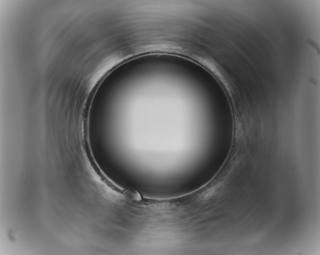 X0000102800999200808181157