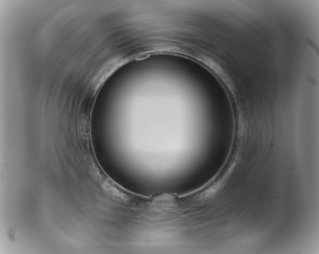 X0000102801001200808181157