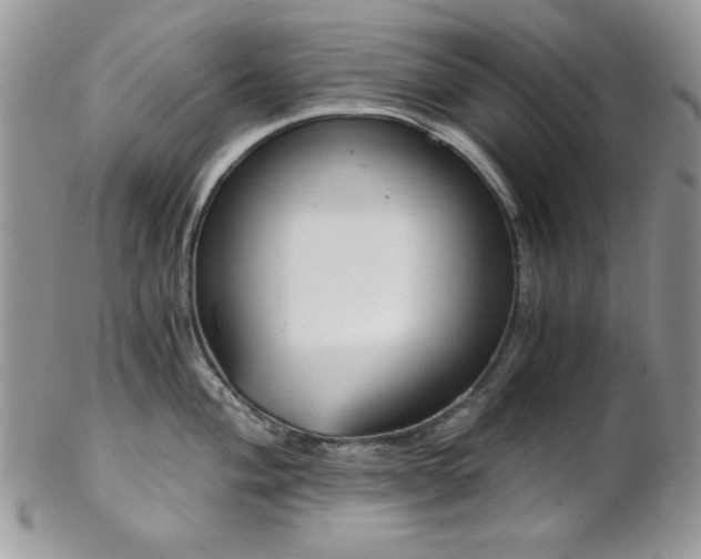 X0000102801004200808181157