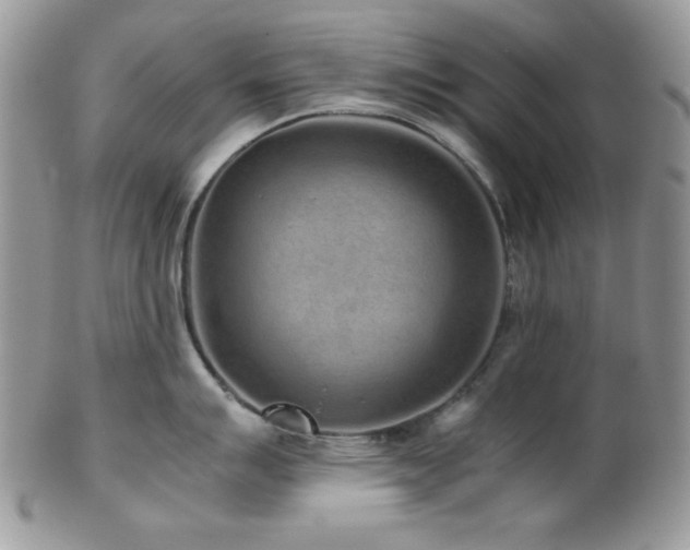 X0000102801007200808181156