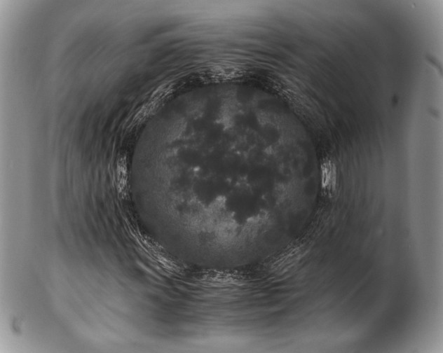 X0000102801011200808181156