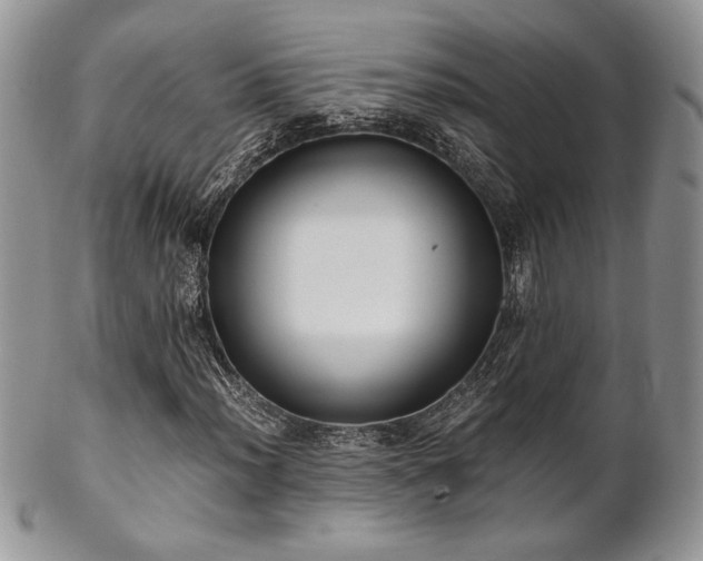X0000102801012200808181156