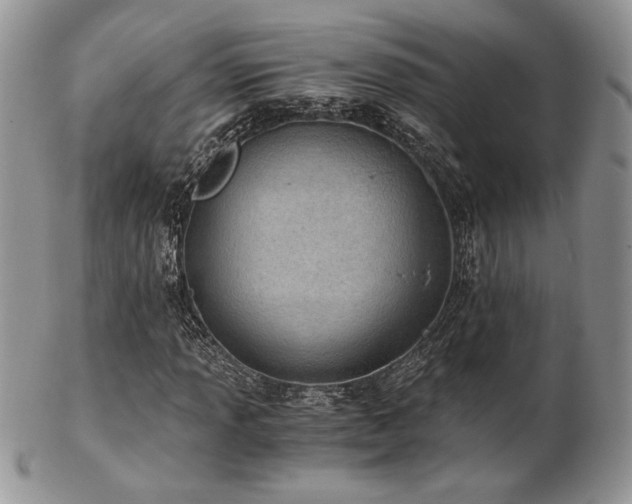 X0000102801013200808181156