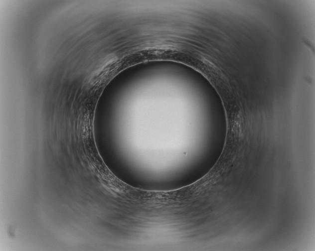 X0000102801014200808181156