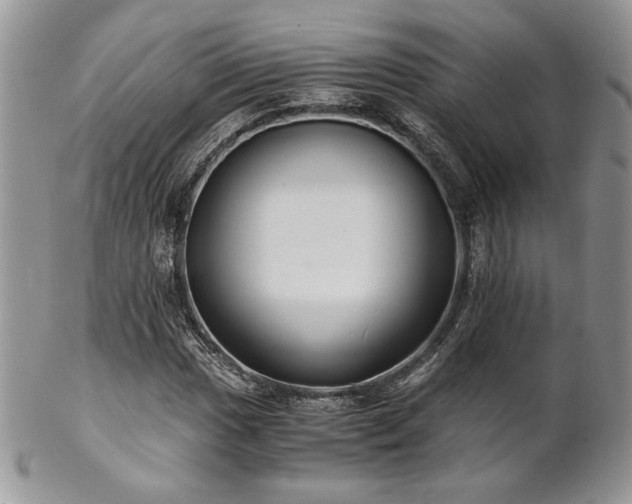X0000102801017200808181156