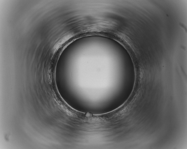 X0000102801018200808181156