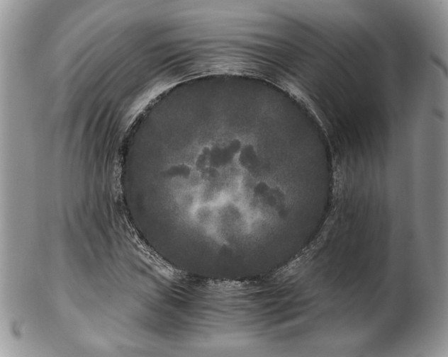 X0000102801019200808181156