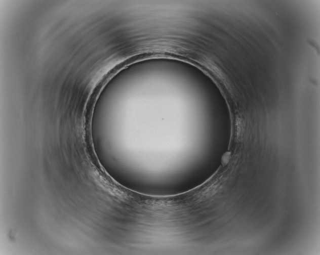 X0000102801020200808181156