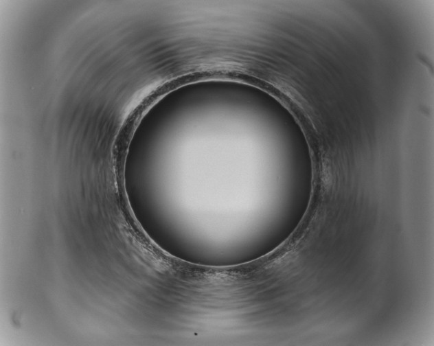 X0000102801022200808181156