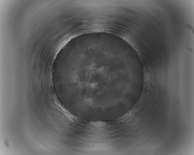 X0000102801023200808181156