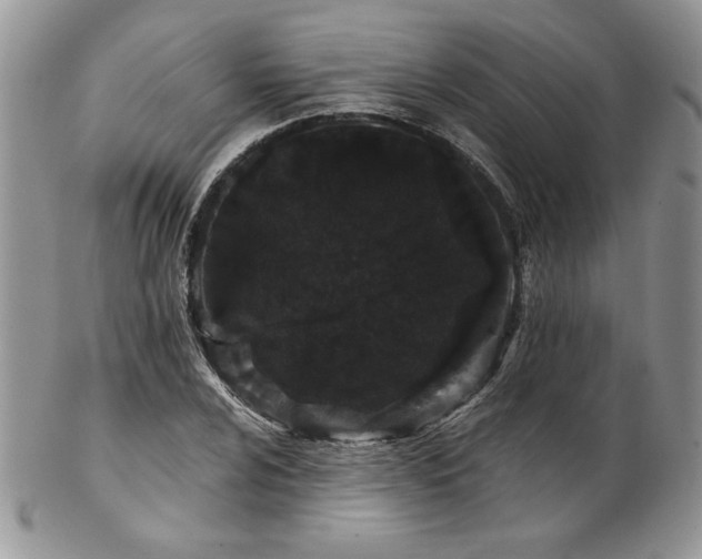 X0000102801024200808181156