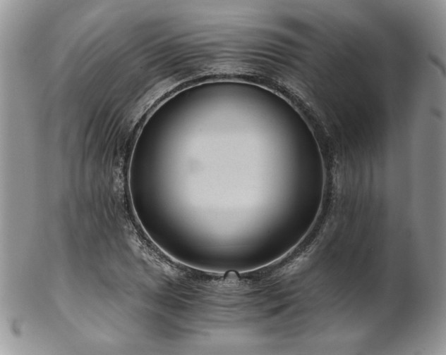 X0000102801025200808181156