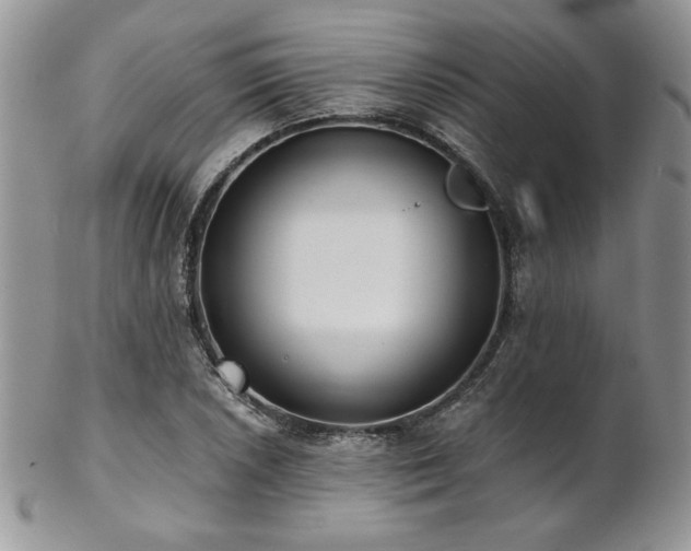 X0000102801026200808181156