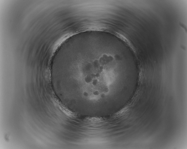 X0000102801027200808181156