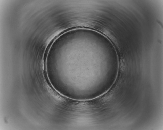 X0000102801028200808181156