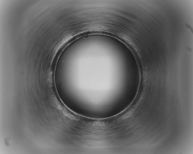 X0000102801029200808181156