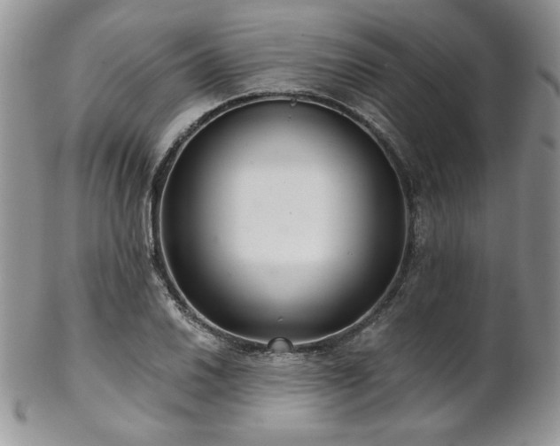 X0000102801030200808181156