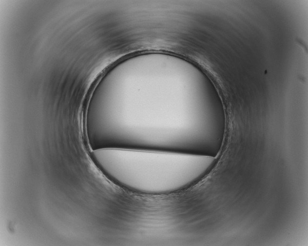 X0000102801032200808181156