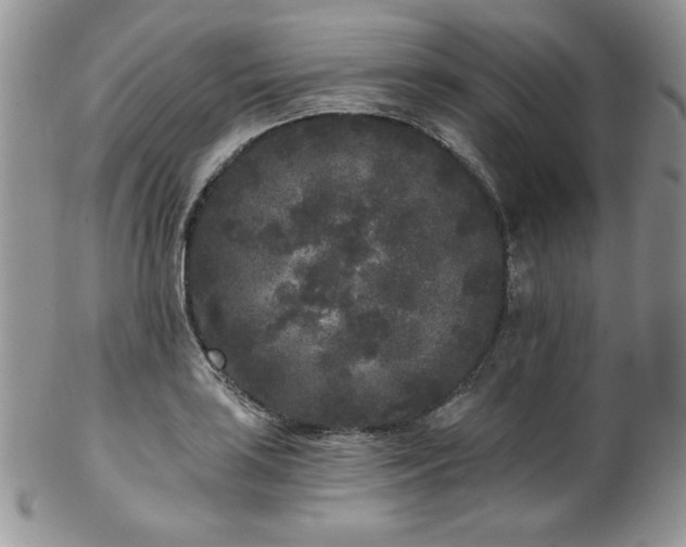 X0000102801035200808181156
