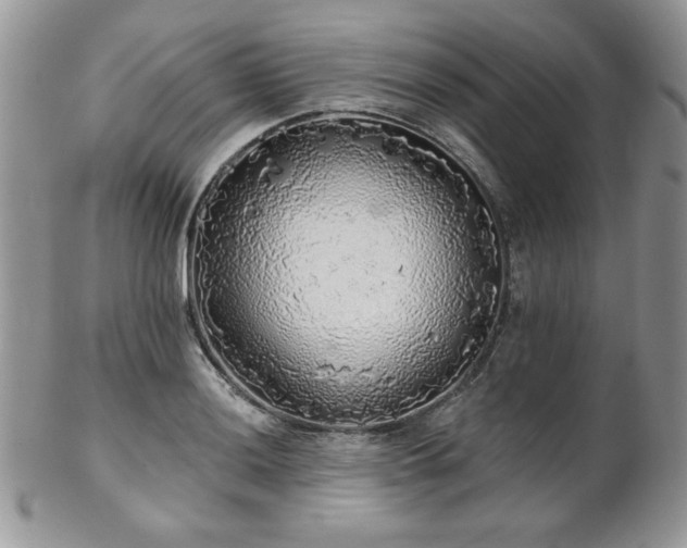 X0000102801036200808181156