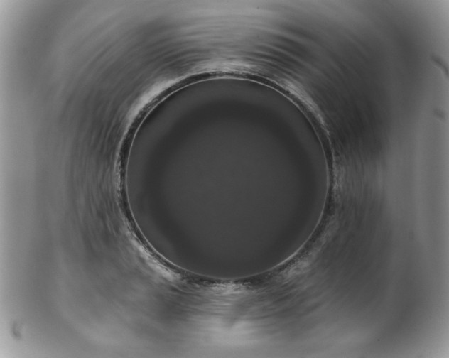X0000102801037200808181156