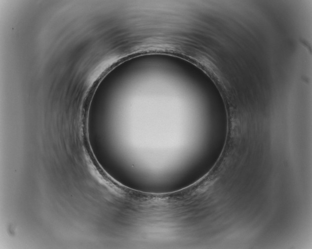 X0000102801038200808181156